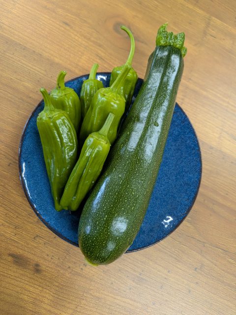 お猿さんとの知恵比べ